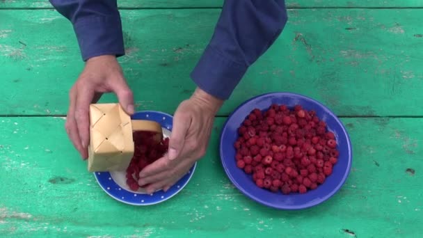 Frambuesa fresca de verano en dos platos de cerámica — Vídeos de Stock