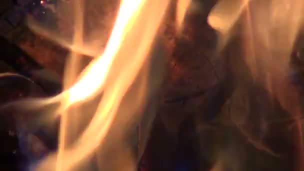 Nacht brand vlam achtergrond wazig — Stockvideo