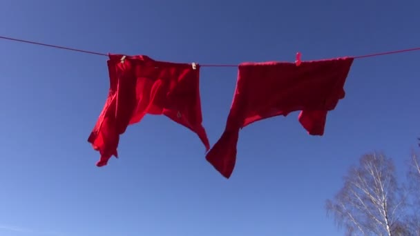 Camisas de roupas vermelhas em corda de lavanderia e vento — Vídeo de Stock