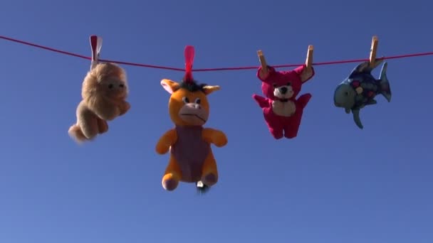 Colorful beautiful soft animal toys on clothes-line string and sky — Stock Video