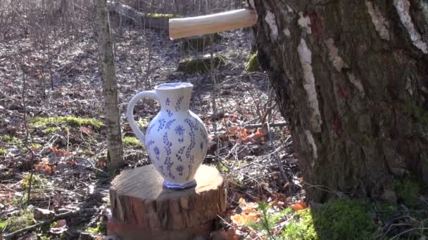 Primavera gocce di linfa di betulla in brocca di ceramica brocca — Video Stock