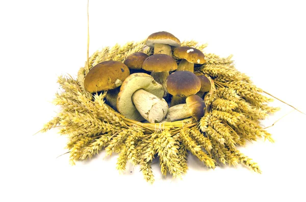 Wheat ears crown wreath and fresh mushroms cep boletus — Stock Photo, Image