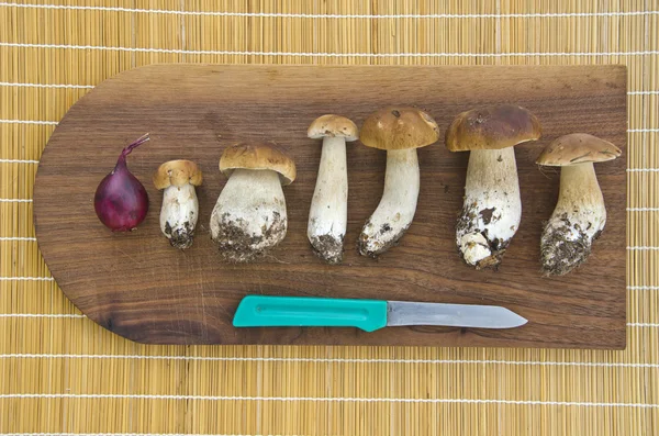 蘑菇 cep 牛肝菌的厨房桌子上 — 图库照片