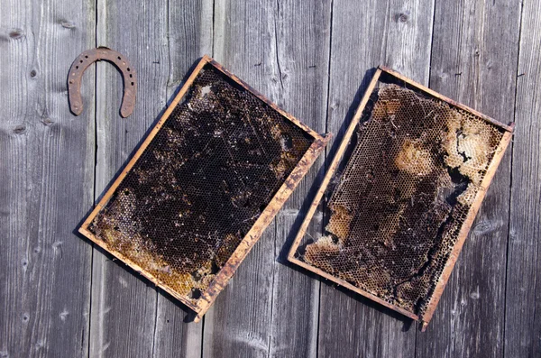 Zwei alte Bienenwabenkämme und ein rostiges Hufeisen an der Wand — Stockfoto