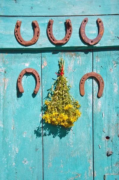 Five  rusty horseshoe on wall and medical st Johns wort flowers — Stock Photo, Image