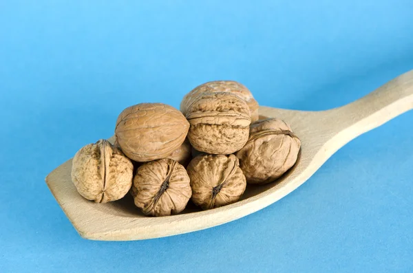Vlašské ořechy v vařečka — Stock fotografie
