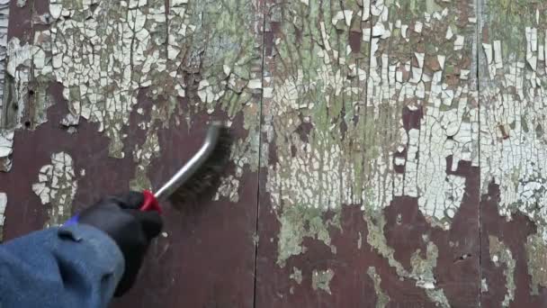 Raspar velha pintura envelhecida da parede de madeira com escova de metal — Vídeo de Stock