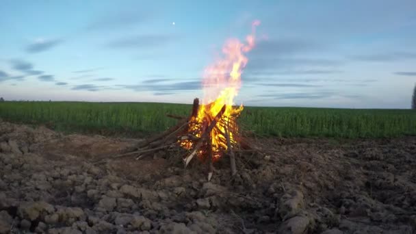 아름 다운 캠프 파이어 모닥불 timelapse 4 k — 비디오