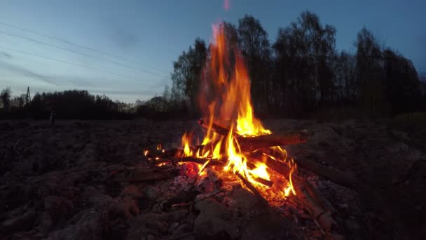 Soir minuit feu de camp de nuit d'été. 4K — Video