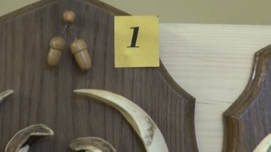 avcılık kupa. Geyik boynuzu boynuzları ve kemik kafatası Karaca ve domuzu manor oda duvar