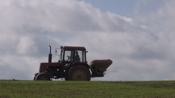 Pequeño viejo tractor agricultura fertilizar campo de la granja — Vídeos de Stock