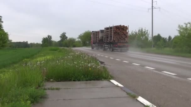 Caminhão com madeira de madeira na estrada — Vídeo de Stock