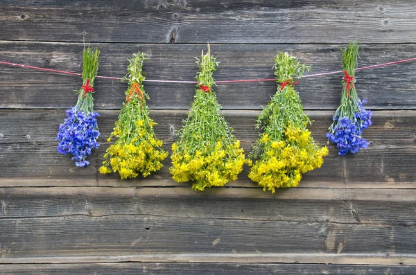 Kornblume und medizinischer St.-Johanniskraut Blumenstrauß an der Wand — Stockfoto