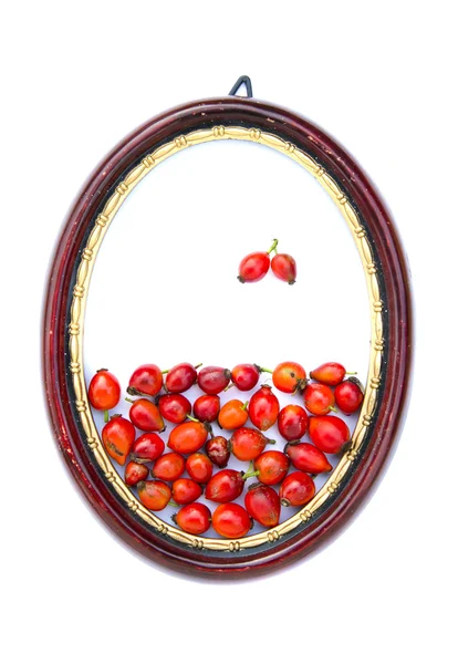 Kırmızı vahşi rose hips oval resim çerçevesi — Stok fotoğraf