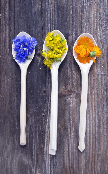 Verse medische kruiden bloemen in houten lepels — Stockfoto