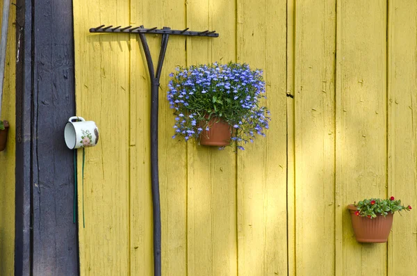 Viejo rastrillo de jardín y macetas con flores en la pared — Foto de Stock