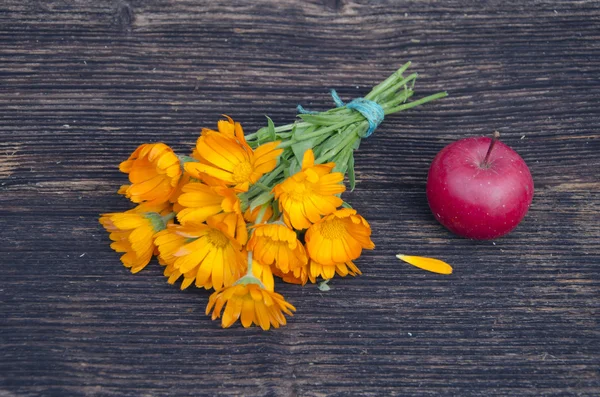 Medical calendula flower bunch and red apple on wooden plank — Stock Photo, Image