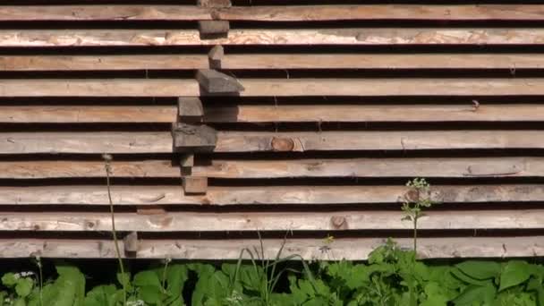 Stack old wooden boards planks in farm yard — Stock Video