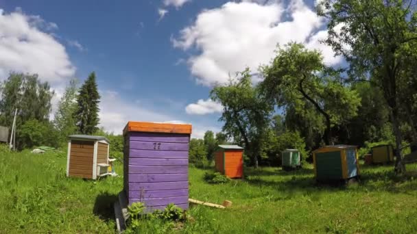 Πολύχρωμο ξύλινες κυψέλες σε αγρόκτημα και σύννεφα κίνηση το καλοκαίρι. Timelapse 4k — Αρχείο Βίντεο