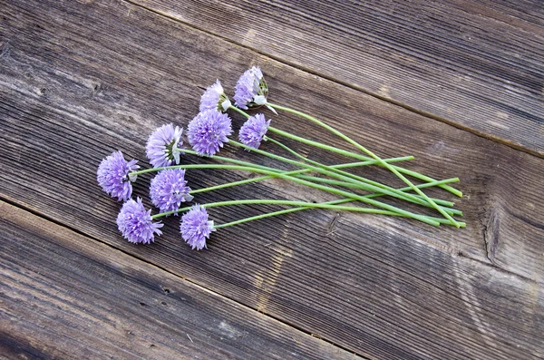 Summer onion blossoms on old wooden plank — Stock Photo, Image