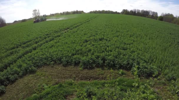 Tractor spray fertilize rapeseed field. 4K — Stock Video