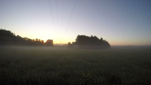 Krásné letní slunce v oblasti hospodářství s ranní mlha mlhy. Timelapse 4k — Stock video