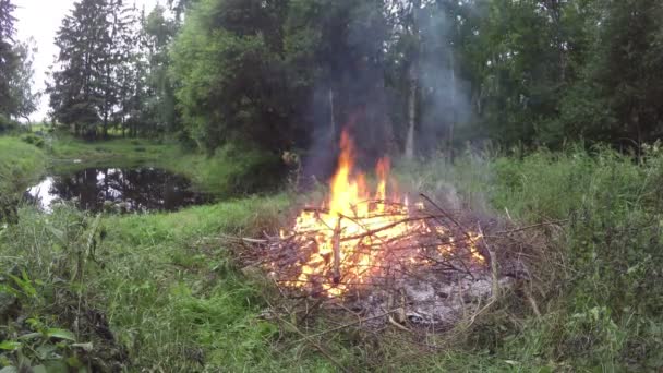 Огонь горит на берегу пруда, время 4K — стоковое видео