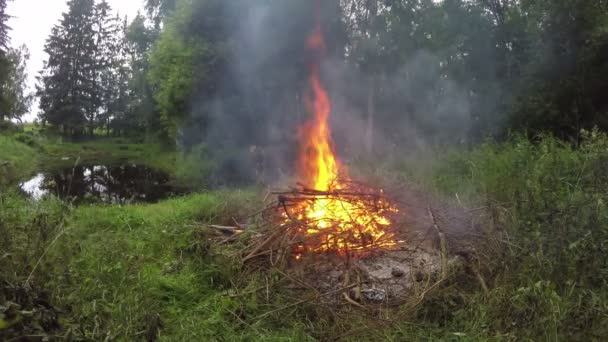 Oddziały w ogień palenie na brzegu stawu, 4k — Wideo stockowe