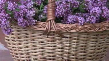 Arı kovanına origanum küçük kapı sepeti dışarı zoom