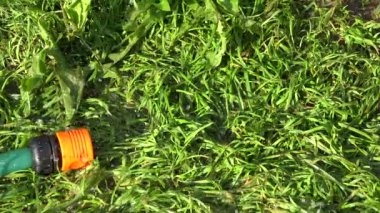 Bahçe, 4 k bağlantı sulama hortumu dostum