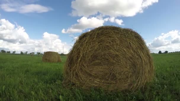 Haystacks in field on cloudy day, timelapse 4K — Stock Video