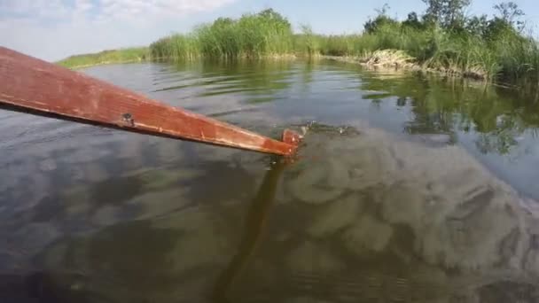 Barco de remos en río, 4K — Vídeos de Stock