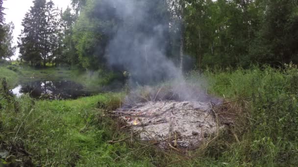 Fire burning on pond shore, 4K — Stock Video