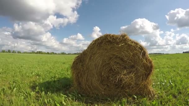 Höstack fältet på mulen dag, 4k — Stockvideo