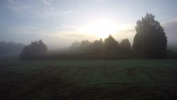 Campo ao amanhecer, timelapse 4K — Vídeo de Stock