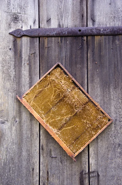 Favo su sfondo di legno — Foto Stock