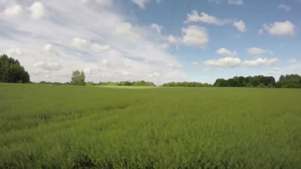 Nubes de primavera movimiento en campo de colza tierras de cultivo. Tiempo de caducidad 4K — Vídeo de stock