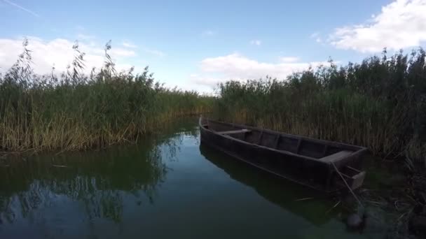 Old wooden fishing boat near sea bay coast and wind in reeds. Timelapse 4K — Stock Video