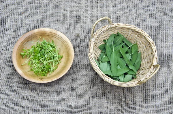 Basil and sage on linen  in wooden bowls — Stock Photo, Image