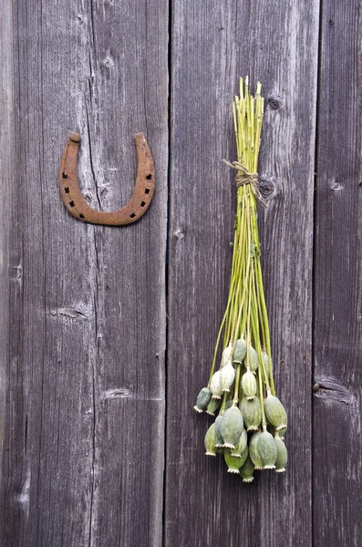 Bos van papaver hoofden en een hoefijzer op houten muur — Stockfoto