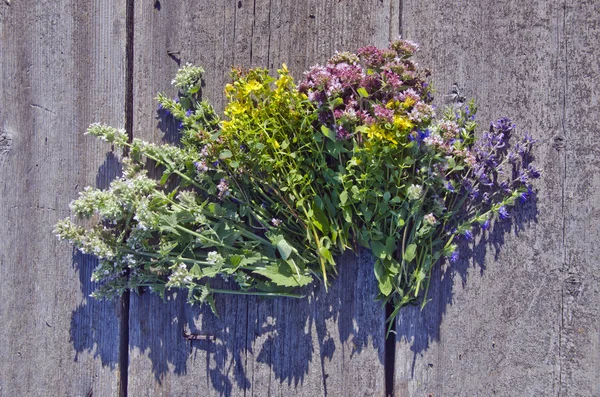 Herbes médicales et d'épices sur fond de bois rustique — Photo