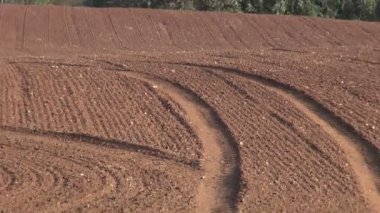 Traktör parçaları ile yeni ekilen buğday alanı