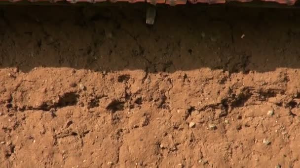 Clay wall of an old farm barn in rural area — Stock Video