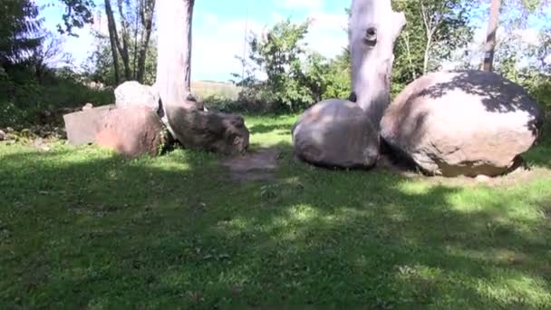 Campana in bronzo appesa sotto il tetto in legno nel parco — Video Stock