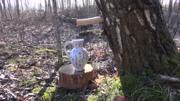 Sève de bouleau goutte à goutte dans une cruche décorative à travers un robinet en bois — Video