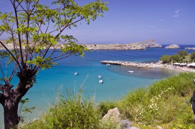 bir plaj ve Rhodes bir ağaçta güzel manzara