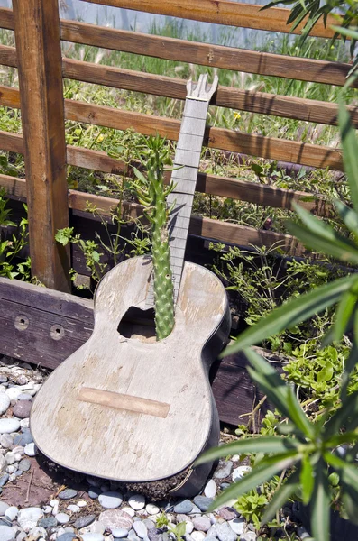 Planta creciendo a través de guitarra — Foto de Stock