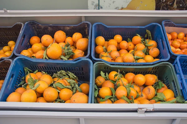 Pomarańcze w pudła z tworzyw sztucznych — Zdjęcie stockowe