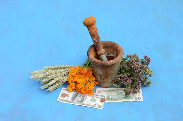 Natureza morta com ervas, dólares e argamassa antiga com pilão — Fotografia de Stock