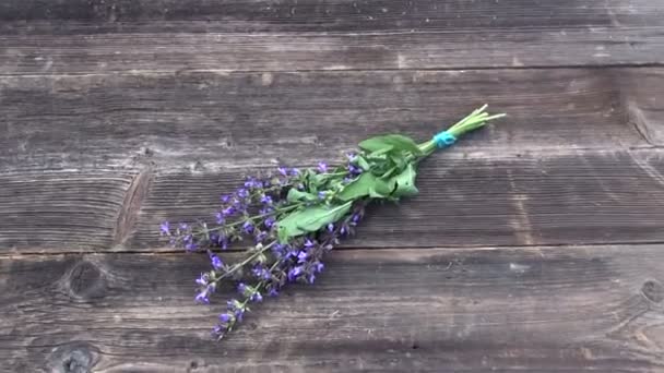 Salvia sobre fondo de madera — Vídeo de stock